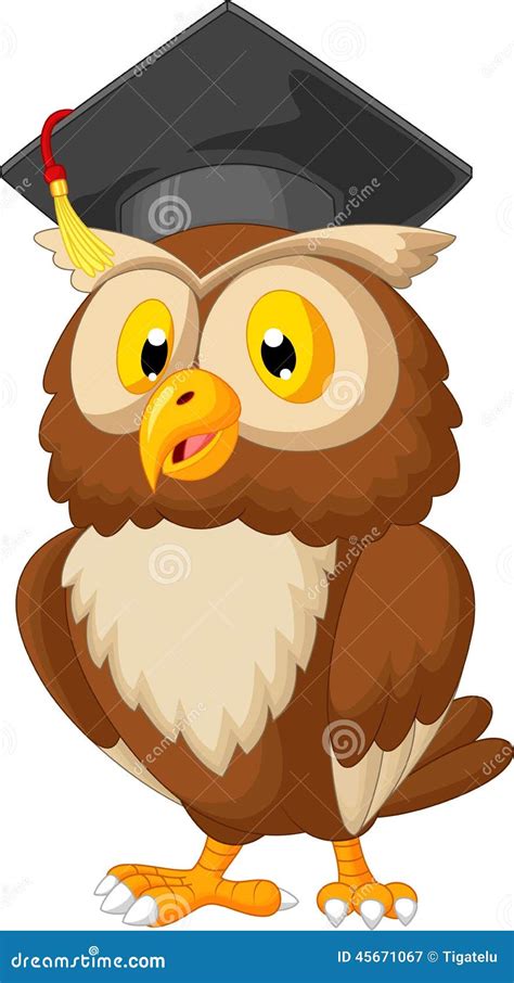 Owl Wearing Graduation Cap And Reading Book Vector Illustration