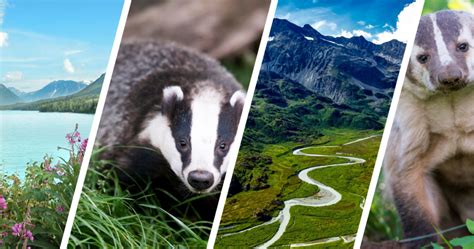 Visit Badger, Alaska - Marco Polo Guided Tours