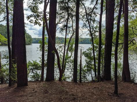 Lake Johnson East Loop Trail - North Carolina | AllTrails