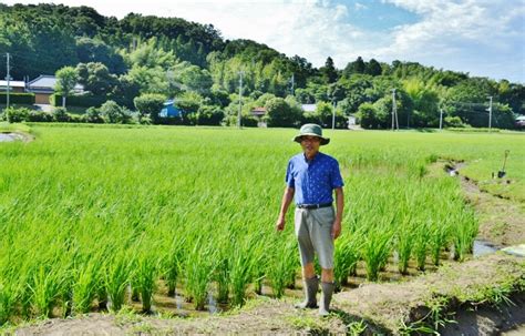 ザリガニを利用した田んぼの草取り？・無農薬の米作り5年目・今年は、田んぼの除草はたった1回だけ・その原因をは？小杉田んぼ・尾高田んぼの水路の水