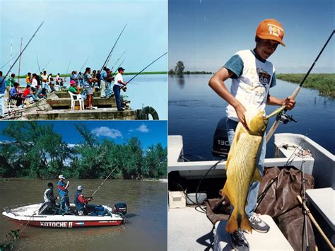 Pesca Embarcado En Victoria Entre R Os Una Experiencia Nica Dia De