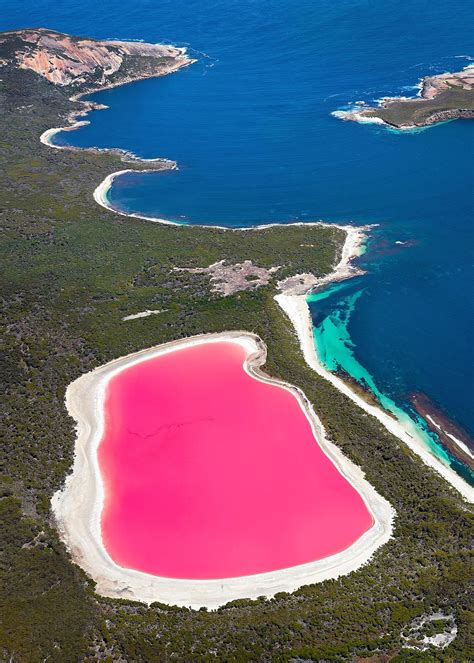 Pink Lake Hillier Scenic Flight | Lake hillier, Pink lake, Lake hillier ...