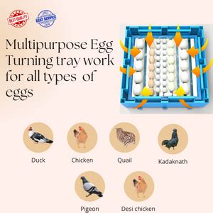 HatchPro Rolling Type Automatic Egg Incubator Capacity Of 64 Eggs With