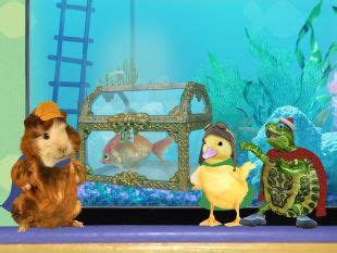 The Wonder Pets! : Save the Goldfish! (2007) - | Synopsis ...