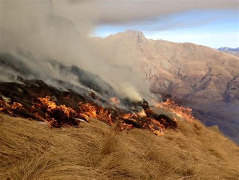 Incendi boschivi stato di massima pericolosità