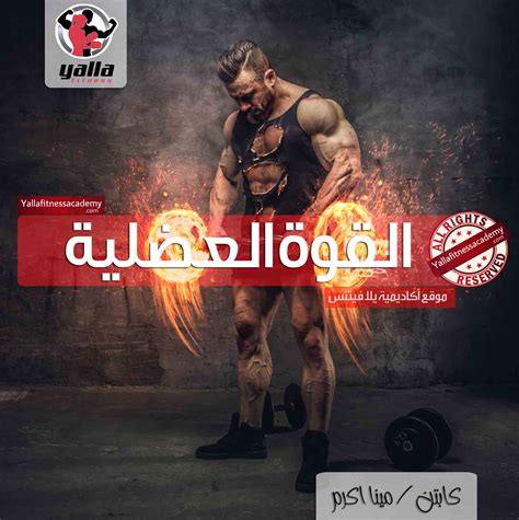 القوة العضلية Muscular Strength