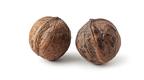 Two Walnuts In A Hard Brown Shell Isolated On A White Background