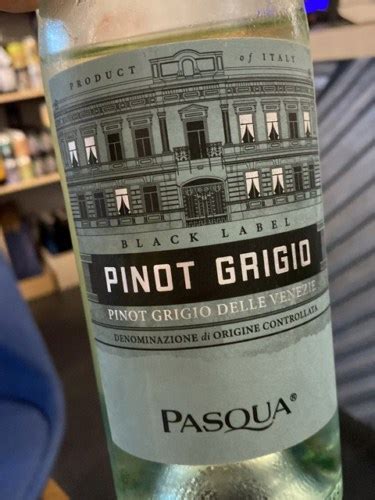 Pasqua Vigneti E Cantine Black Label Pinot Grigio Vivino US