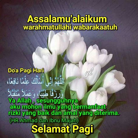 Gambar Ucapan Salam Subuh Dan Selamat Pagi Pin By Rohana Musa On Salam Subuh Slmt Pagi Islamic