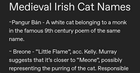 Medieval Irish Cat Names - Media Chomp