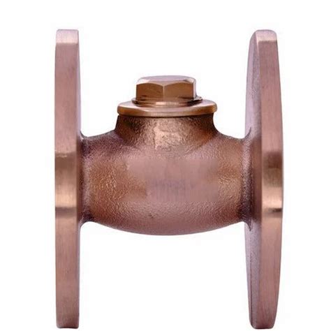 Wj Bronze Horizontal Lift Check Valve Screwed Cover Flanged Ends