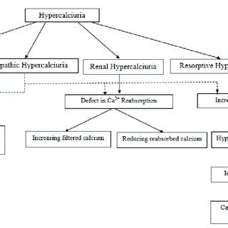 Diagram of hypercalciuria pathophysiology. | Download Scientific Diagram