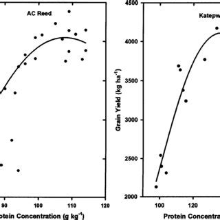 Relationships Between Grain Yield And Protein Concentration For AC Reed