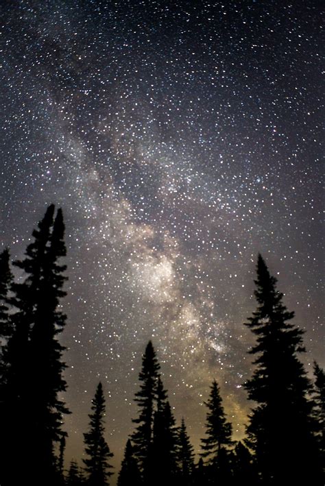 Milky way over a black spruce bog, lake St.Jean, Québec, Canada : r