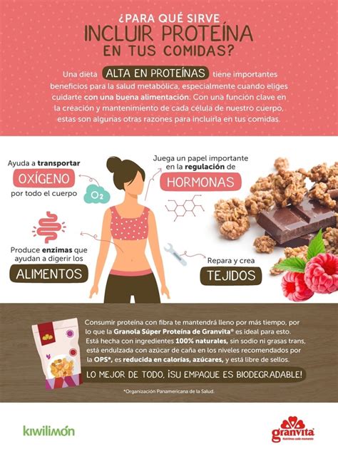 Para Que Sirve La Proteina Seonegativo Hot Sex Picture