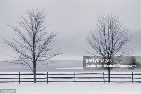 great hollow lake stock  high res pictures  images