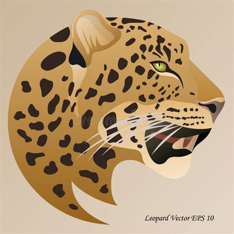 Leopardo Pele Amarelada E Corpo Longo Sentado No Vetor Das Folhas