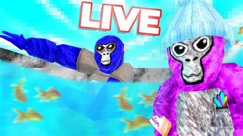 Gorilla Tag Liveplaying With Viewers Tag Minigames And Moreroad To