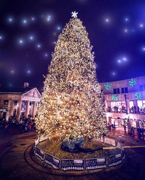 Boston Christmas Tree Lighting Christmas Crafts 2020