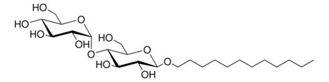 N dodecyl β d maltoside Sigma Aldrich