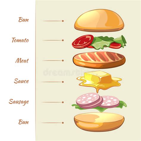 Ingredientes Do Hamburger Infographics Do Vetor Ilustração do Vetor