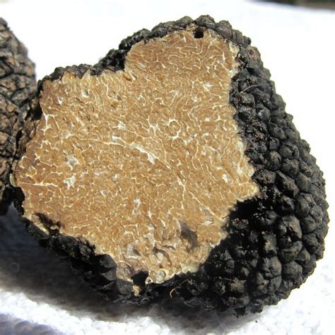 English Summer Truffles Available Now The English Truffle Company