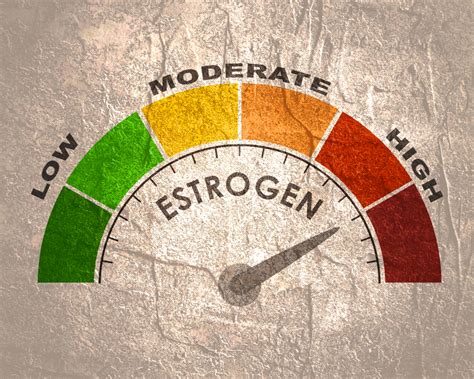 How Liver Function Affects Hormones Var Medicine