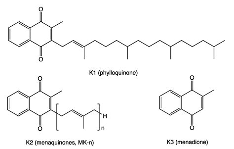 Vitamin K And Age Associated Diseases Encyclopedia MDPI