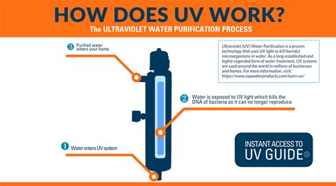 Ultraviolet Light Water Disinfection Destroy Cells Ability To Reproduce