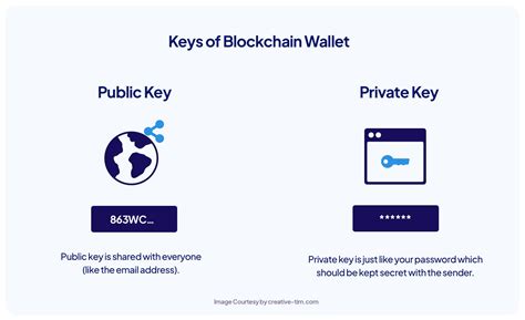 What Is A Blockchain Wallet All You Need To Know