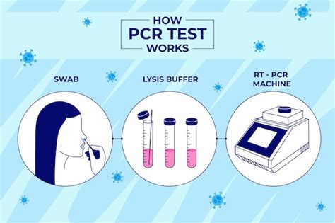 Free Vector How Pcr Test Works