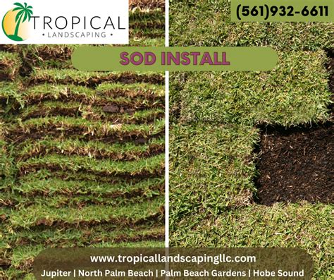 Sod Installation - Tropical Landscaping