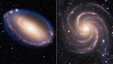 Elliptical Vs Spiral Galaxies: Dynamics and Composition