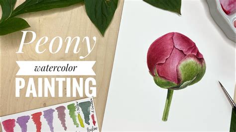 Peony Watercolor Painting Tutorial Learn To Paint Peony Step By Step Youtube