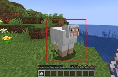 How to craft white dye in Minecraft - The Best T-Shirt Trends for Every ...