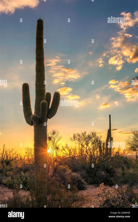 Sonoran Desert Arizona Hi Res Stock Photography And Images Alamy