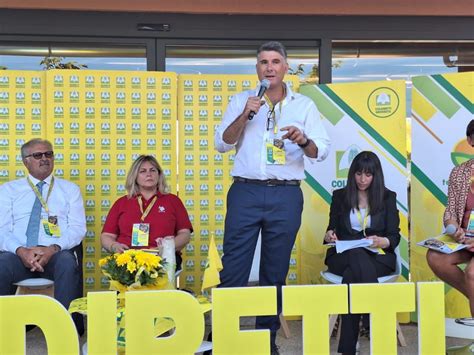 Maltempo Coldiretti Toscana Vento Forte E Emergenza Caduta Alberi E