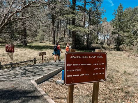 Hike Cuyamaca Peak Loop Trail Go Hiking San Diego