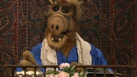 Alf Tv Series 19861990 Episode List Imdb