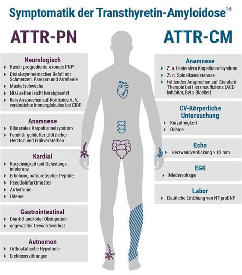 Tafamidis Zur Behandlung Der Kardialen Transthyretin Amyloidose