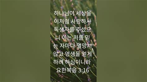 💓말씀💓하나님이 세상을 이처럼 사랑하사 독생자를 주셨으니 이는 저를 믿는 자마다 멸망치 않고 영생을 얻게 하려 하심이라요한복음