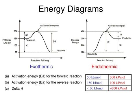 Anatomy Of An Endothermic Reaction Visualizing The Energy Diagram