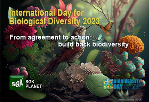 From Agreement To Action Build Back Biodiversity International Day