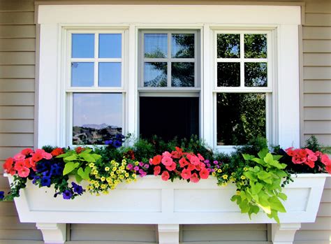 Window Box Design Ideas
