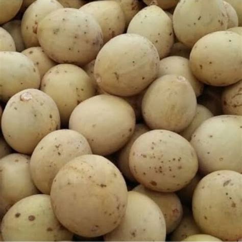 Jual Buah Duku Palembang Manis Gram Duku Palembng Buah Musiman