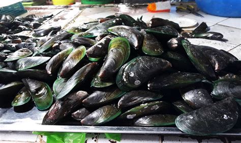 Shellfish At Alamang May Red Tide BFAR