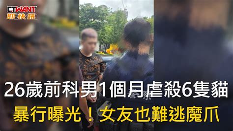 Ctwant 社會新聞 26歲前科男1個月虐殺6隻貓 暴行曝光！女友也難逃魔爪 Youtube