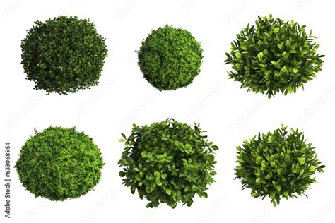 Set Collection Of Bushes Isolated On Transparent Background Cutout