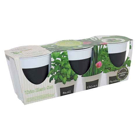 Trio Herb Set Wilko