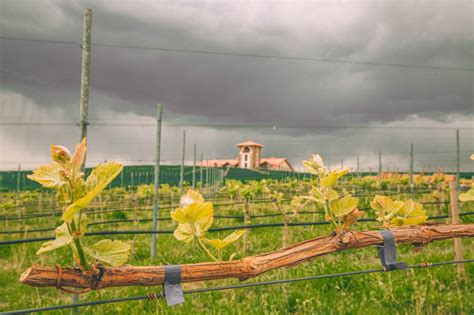 Винодельни Армении | лучшие армянские винодельни | Go2Armenia